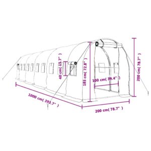 Šiltnamis su plieno rėmu, baltos spalvos, 10x2x2m, 20m²