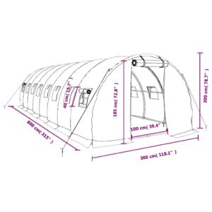 Šiltnamis su plieno rėmu, baltos spalvos, 8x3x2m, 24m²