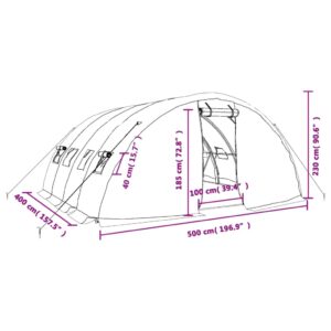 Šiltnamis su plieno rėmu, žalios spalvos, 5x4x2,3m, 20m²