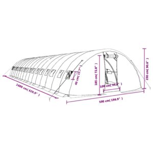 Šiltnamis su plieno rėmu, žalios spalvos, 16x5x2,3m, 80m²