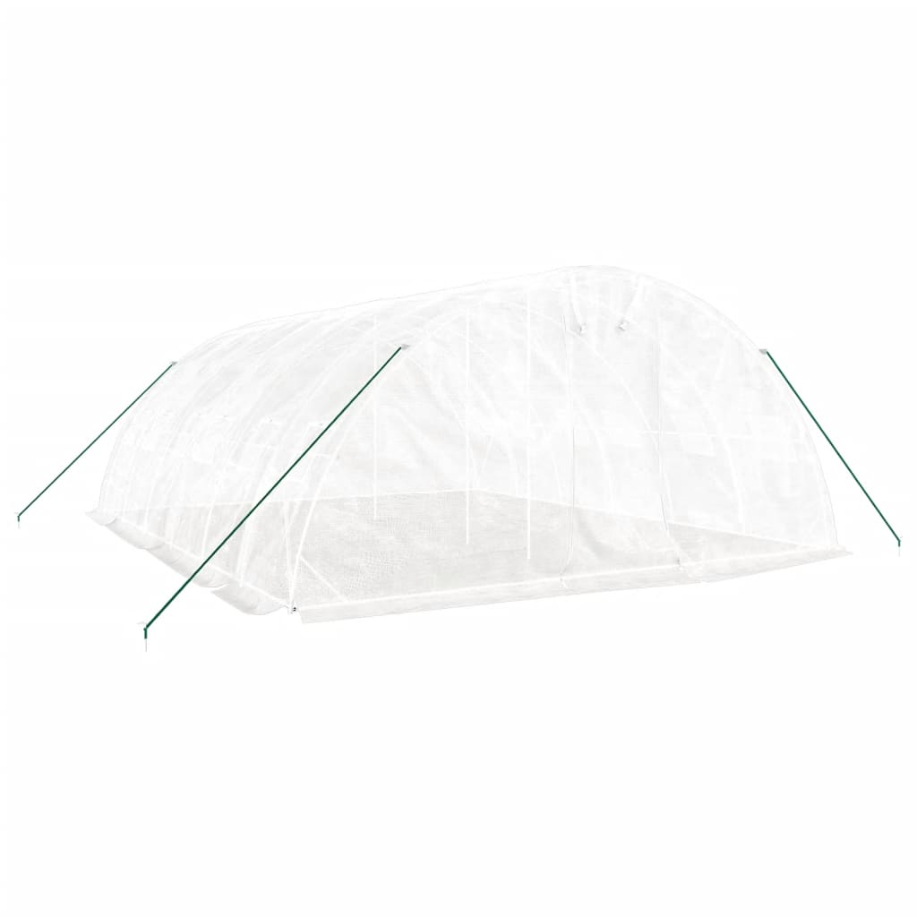 Šiltnamis su plieno rėmu, baltos spalvos, 6x5x2,3m, 30m² Šiltnamis su plieno rėmu, baltos spalvos, 6x5x2,3m, 30m² - Image 3