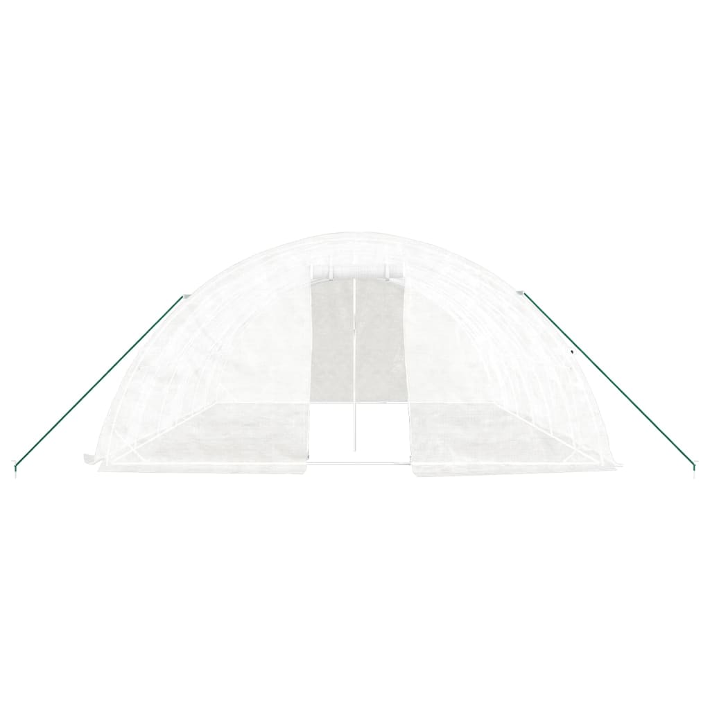Šiltnamis su plieno rėmu, baltos spalvos, 6x5x2,3m, 30m² Šiltnamis su plieno rėmu, baltos spalvos, 6x5x2,3m, 30m² - Image 4