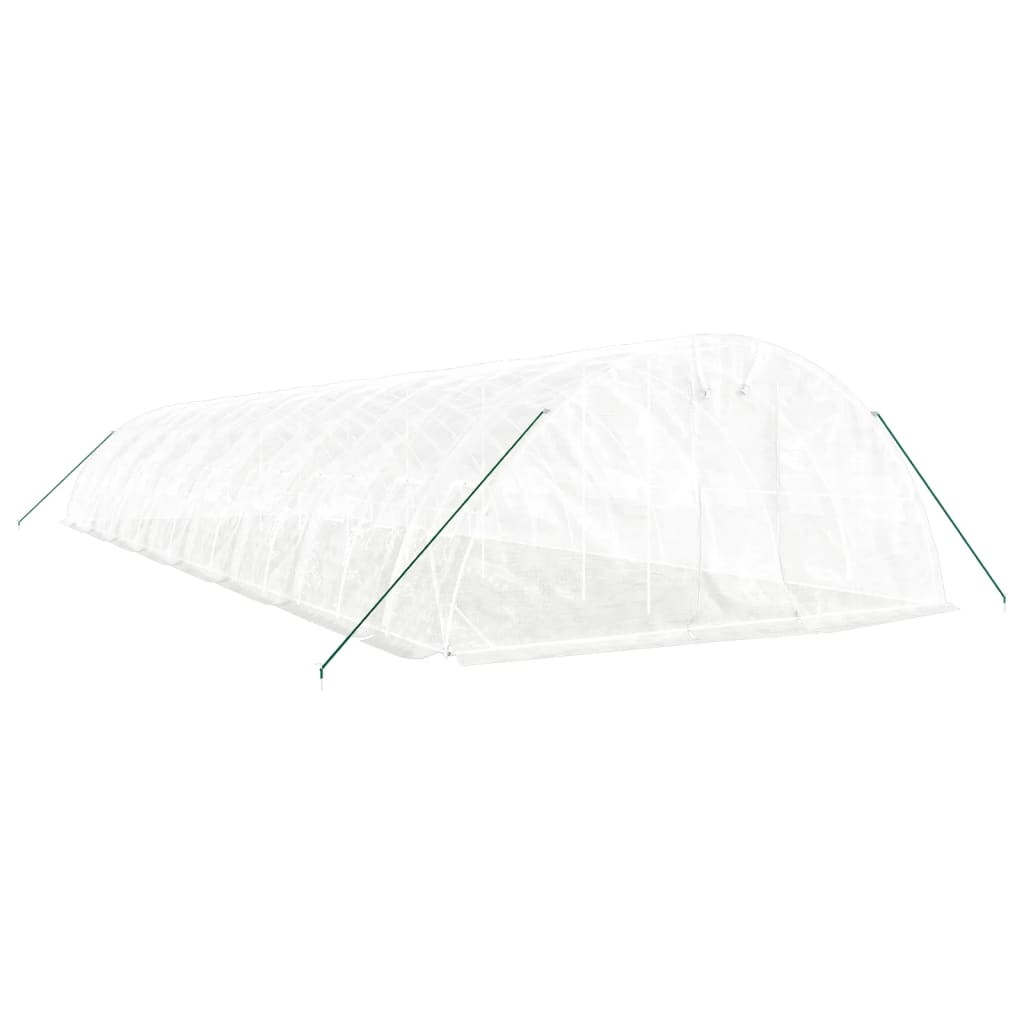 Šiltnamis su plieno rėmu, baltos spalvos, 16x5x2,3m, 80m² Šiltnamis su plieno rėmu, baltos spalvos, 16x5x2,3m, 80m² - Image 3