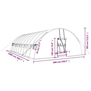 Šiltnamis su plieno rėmu, žalios spalvos, 10x6x2,85m, 60m²