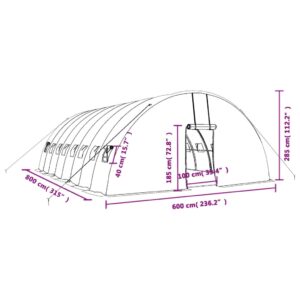Šiltnamis su plieno rėmu, baltos spalvos, 8x6x2,85m, 48m²