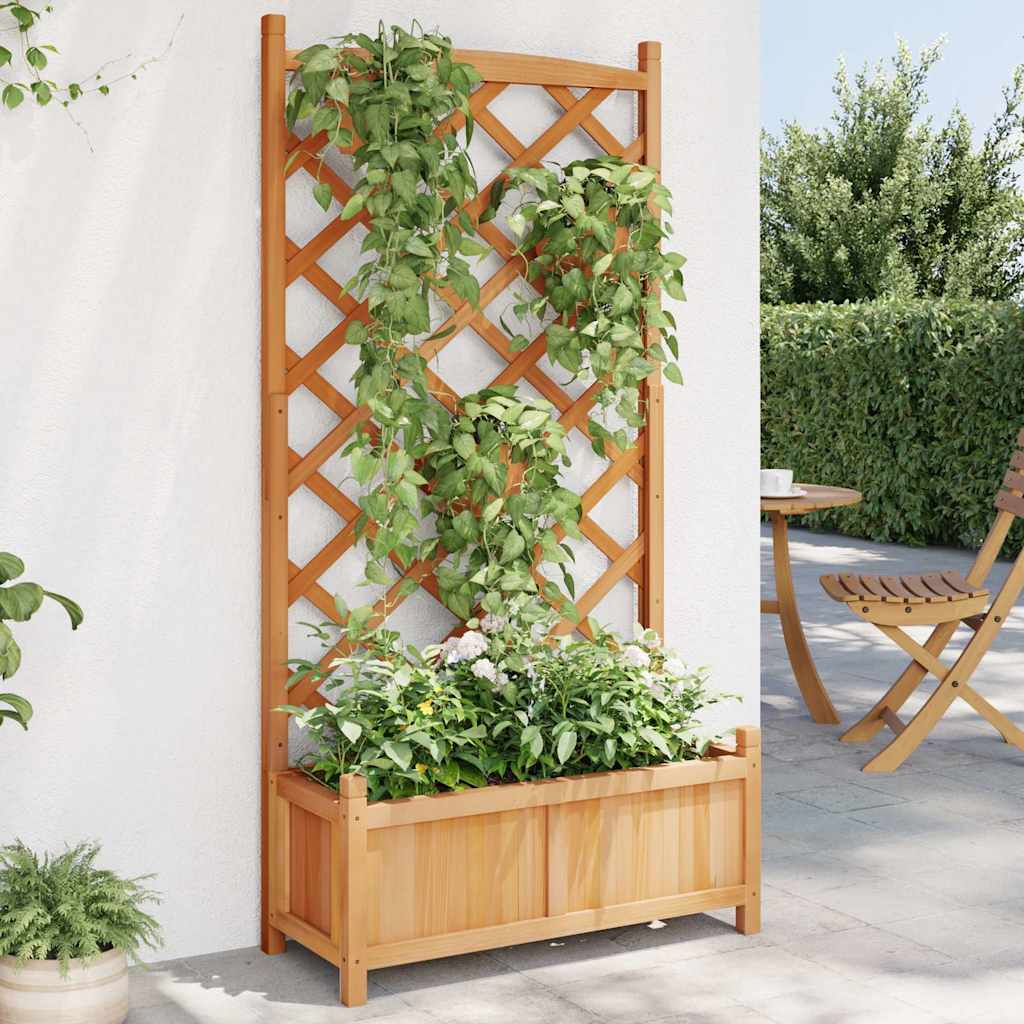 Vazonas su grotelėmis, rudas, 75x35x150 cm, eglės medienos masyvas Vazonas su grotelėmis, rudas, 75x35x150 cm, eglės medienos masyvas - Image 2