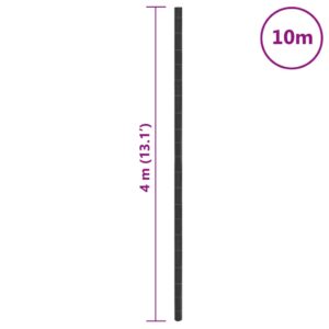 Membrana nuo piktžolių, juodos spalvos, 4x10m, PP