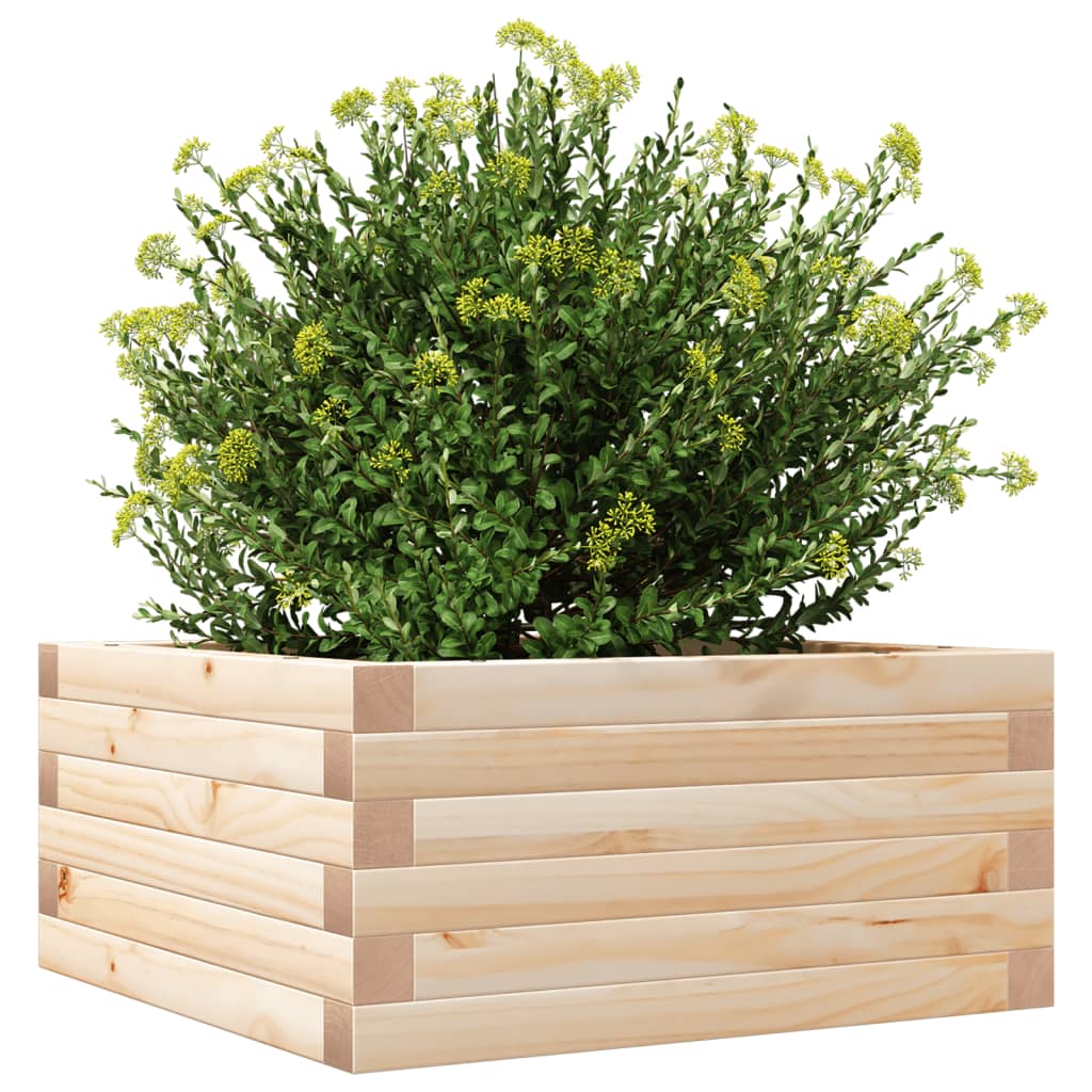 Sodo lovelis, 50x50x23cm, pušies medienos masyvas Sodo lovelis, 50x50x23cm, pušies medienos masyvas - Image 4