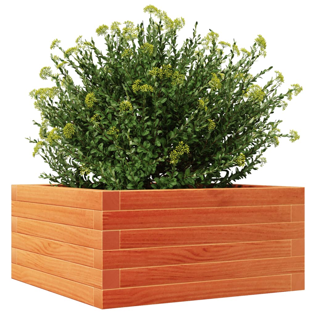 Sodo lovelis, vaško rudas, 50x50x23cm, pušies medienos masyvas Sodo lovelis, vaško rudas, 50x50x23cm, pušies medienos masyvas - Image 4