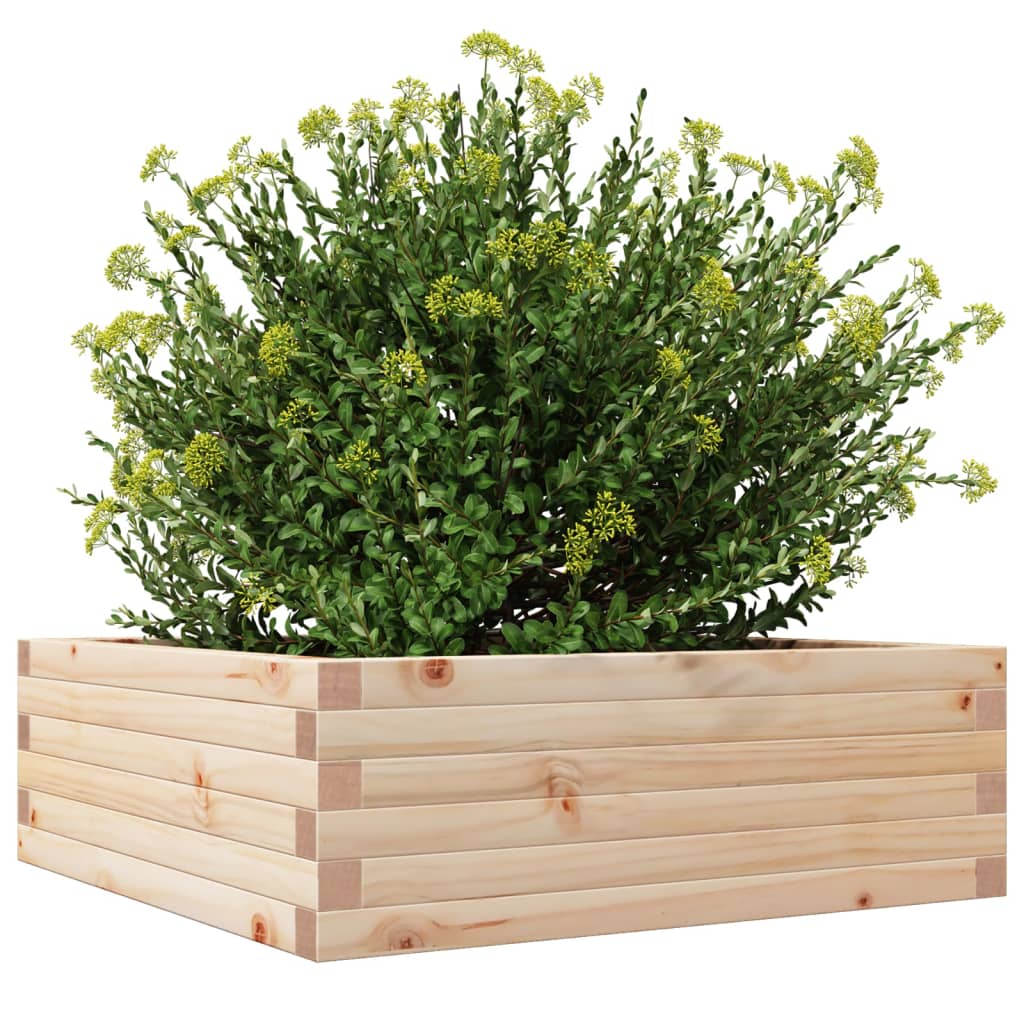Sodo lovelis, 70x70x23cm, pušies medienos masyvas Sodo lovelis, 70x70x23cm, pušies medienos masyvas - Image 4