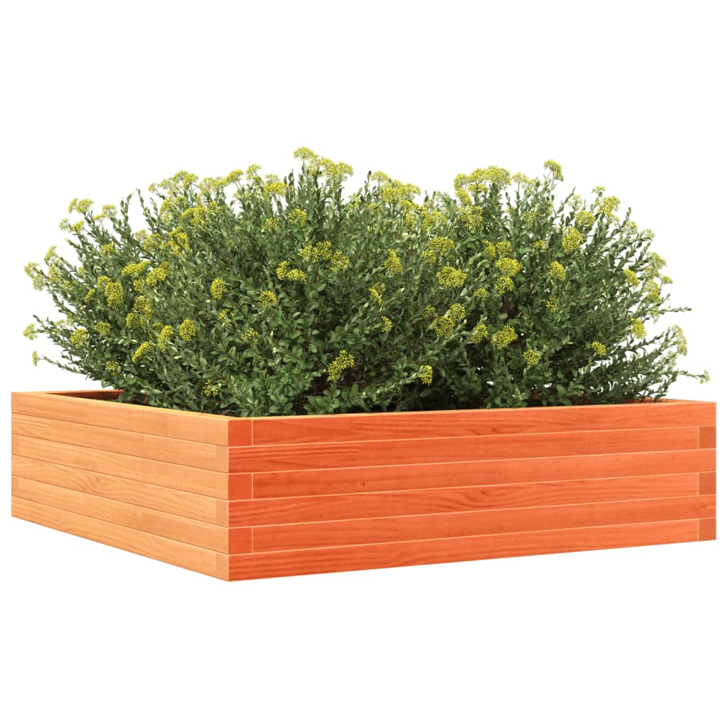 Sodo lovelis, vaško rudas, 90x90x23cm, pušies medienos masyvas Sodo lovelis, vaško rudas, 90x90x23cm, pušies medienos masyvas - Image 4