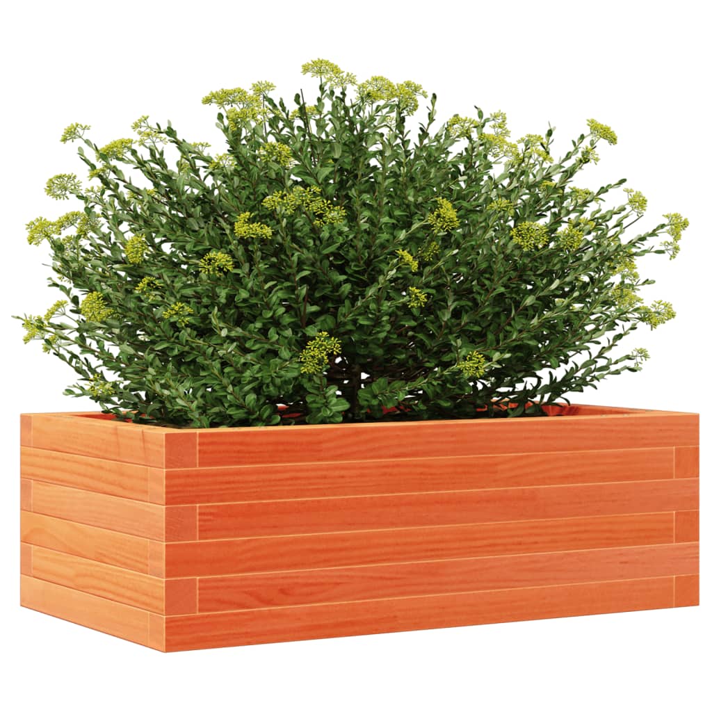 Sodo lovelis, vaško rudas, 70x40x23cm, pušies medienos masyvas Sodo lovelis, vaško rudas, 70x40x23cm, pušies medienos masyvas - Image 4