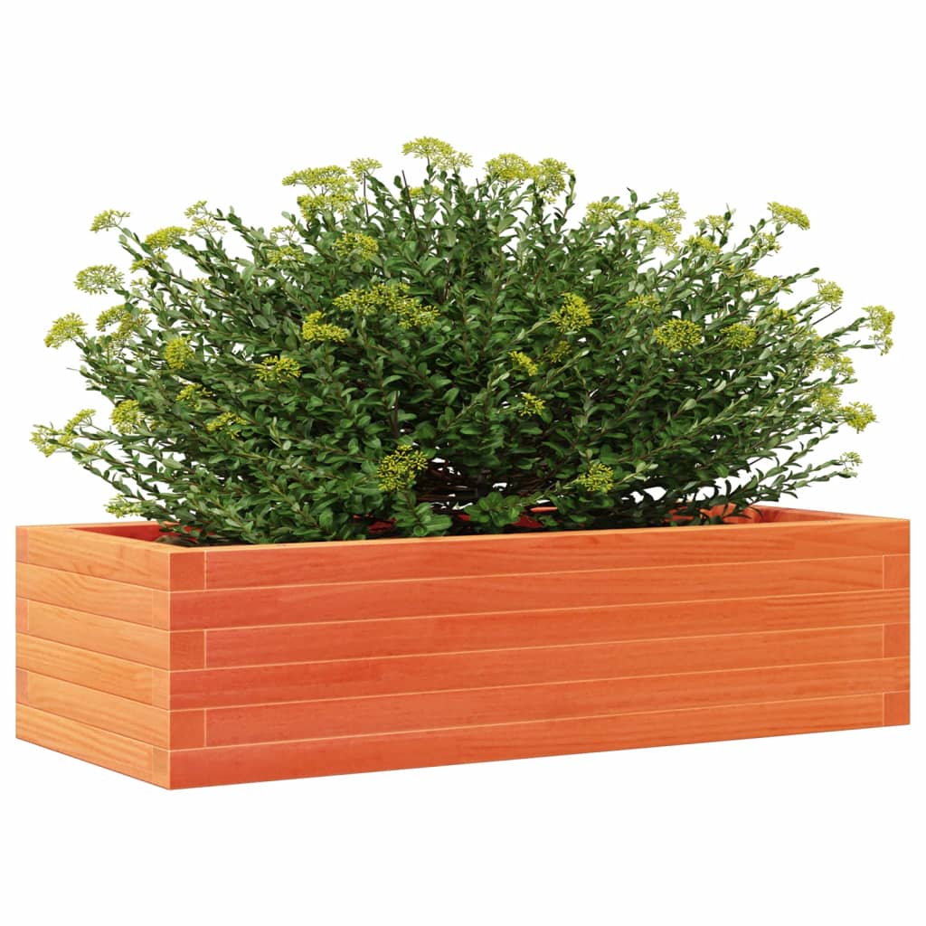 Sodo lovelis, vaško rudas, 90x40x23cm, pušies medienos masyvas Sodo lovelis, vaško rudas, 90x40x23cm, pušies medienos masyvas - Image 4