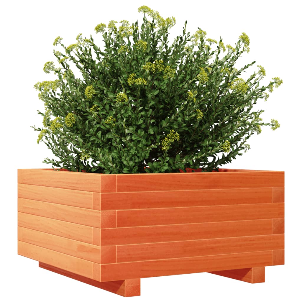 Sodo lovelis, vaško rudas, 50x50x26,5cm, pušies masyvas Sodo lovelis, vaško rudas, 50x50x26,5cm, pušies masyvas - Image 4