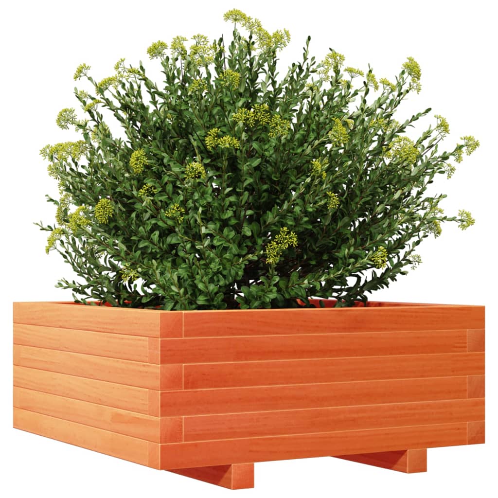 Sodo lovelis, vaško rudas, 60x60x26,5cm, pušies masyvas Sodo lovelis, vaško rudas, 60x60x26,5cm, pušies masyvas - Image 4