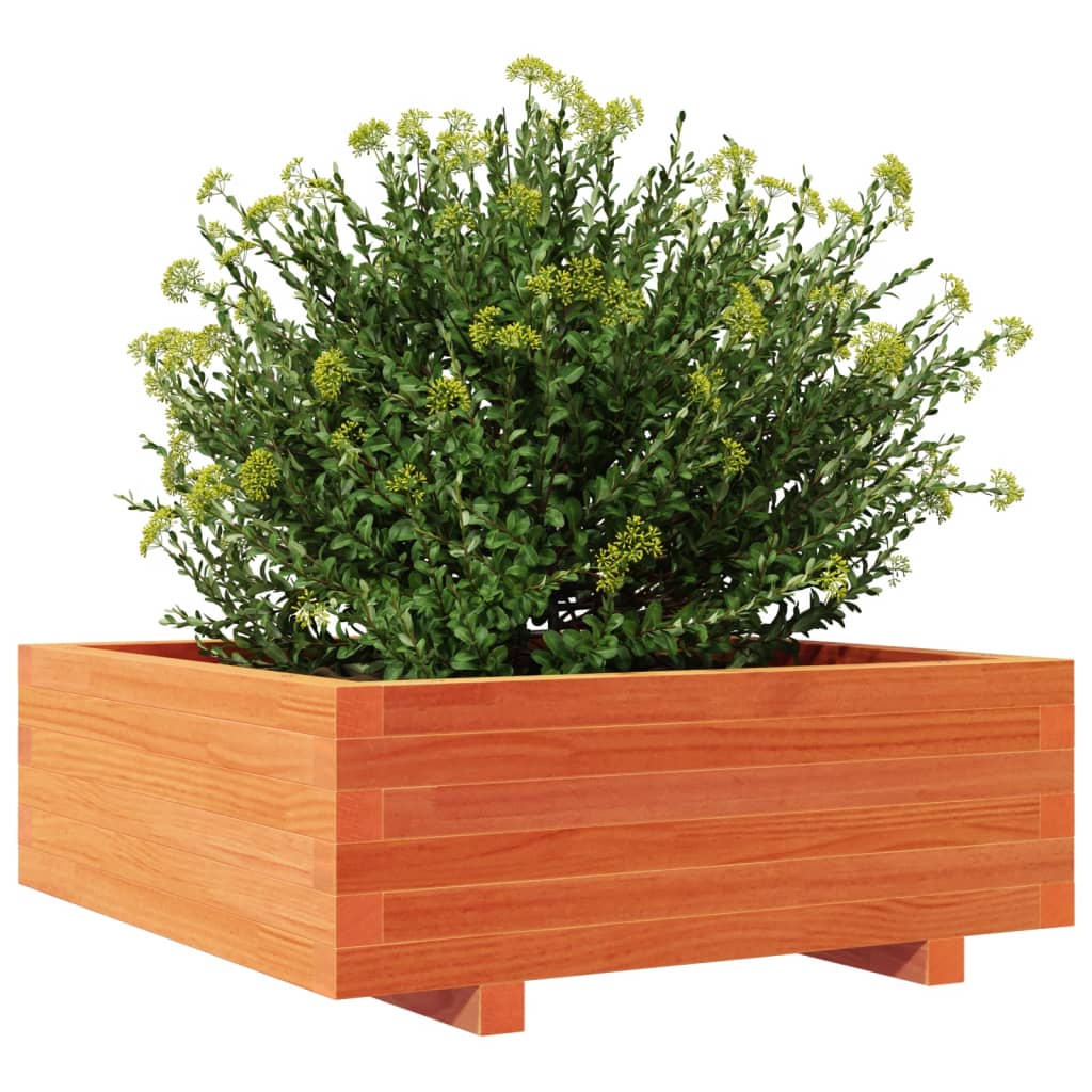 Sodo lovelis, vaško rudas, 70x70x26,5cm, pušies masyvas Sodo lovelis, vaško rudas, 70x70x26,5cm, pušies masyvas - Image 4