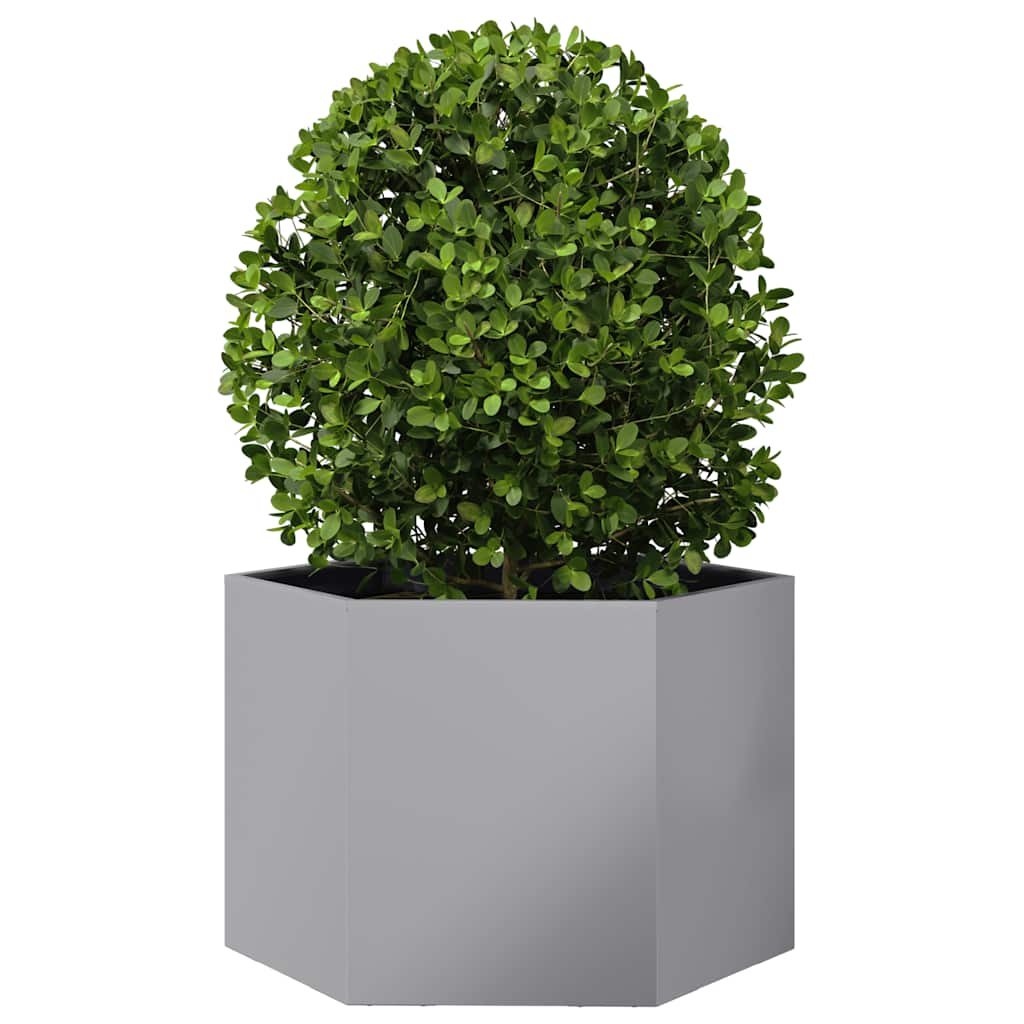 Sodo lovelis, 69x60x45cm, galvanizuotas plienas, šešiakampis Sodo lovelis, 69x60x45cm, galvanizuotas plienas, šešiakampis - Image 3