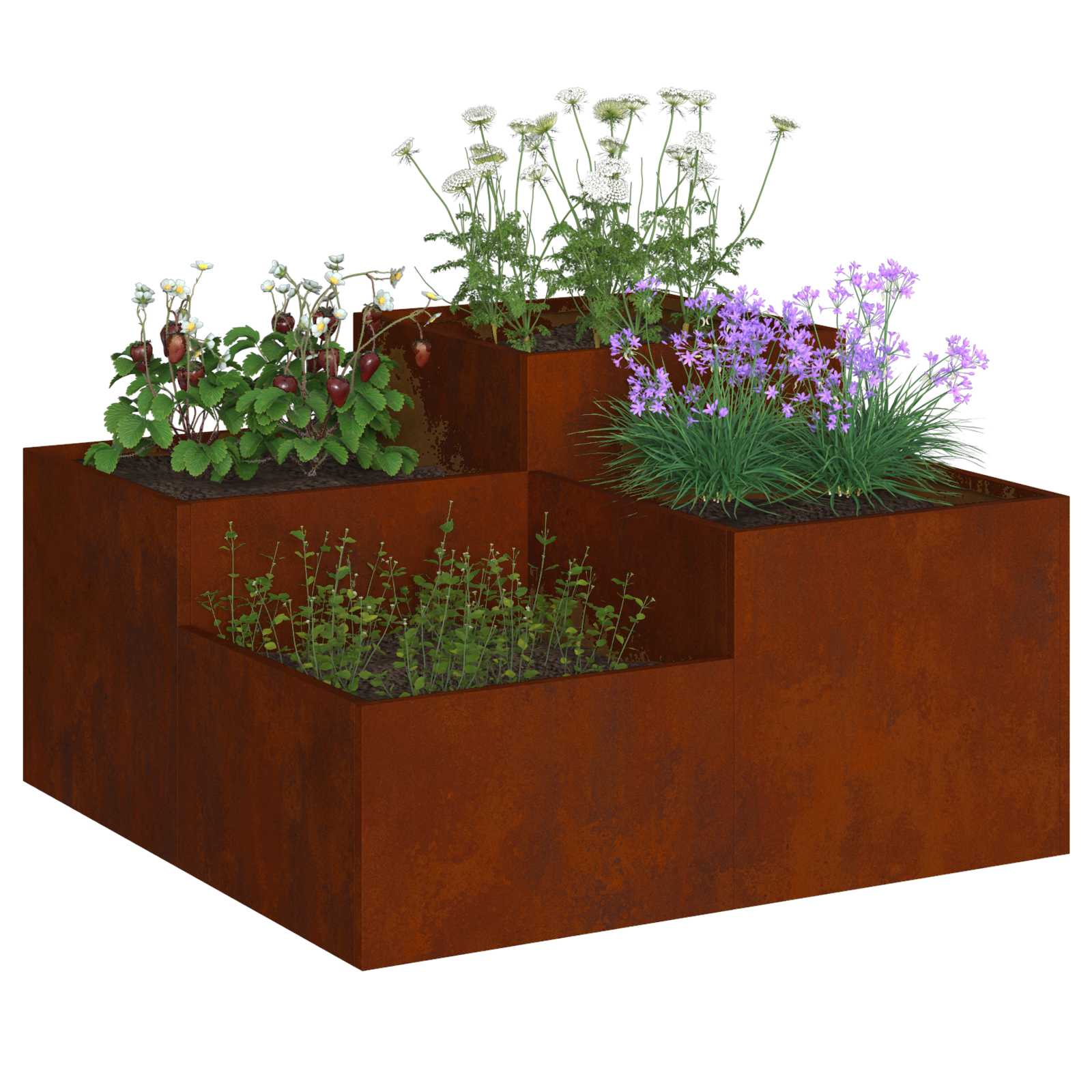 Sodo vazonas Rūdijanti 80 x 80 x 48 cm Sodo vazonas Rūdijanti 80 x 80 x 48 cm - Image 5