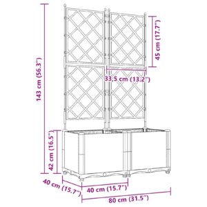 Sodo vazonas 2 vnt. Pilka 80 x 40 x 143 cm PP