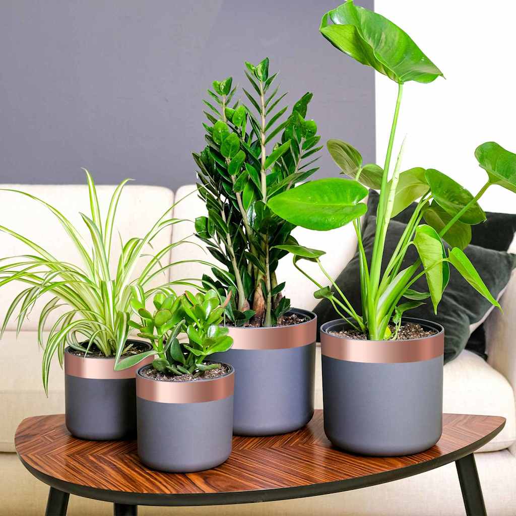 Dvipusė vario juosta, skirta sraigių apsaugai 50 mm x 20 m Dvipusė vario juosta, skirta sraigių apsaugai 50 mm x 20 m - Image 2