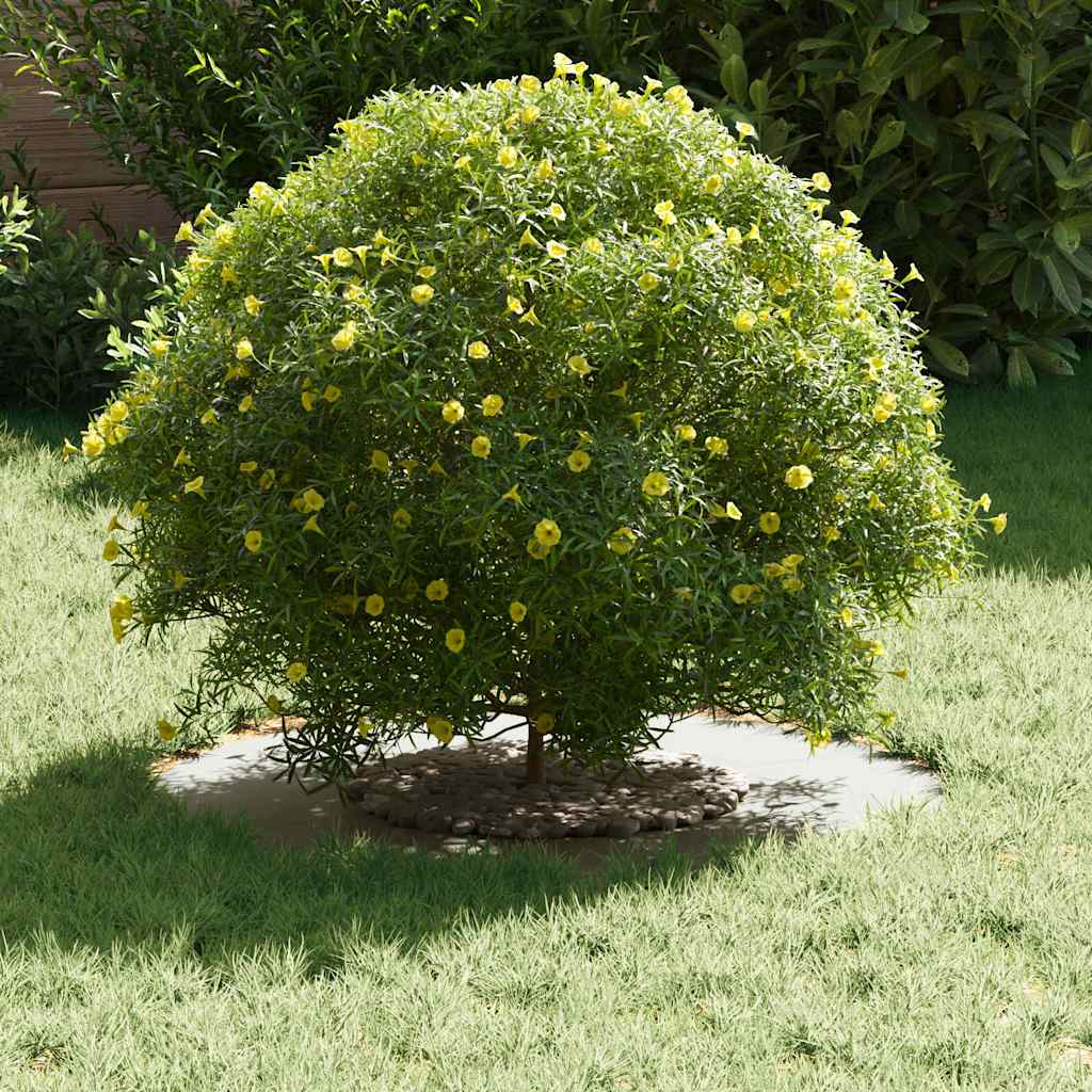 tinkamas plokštiems medžio žiedams 5 vnt. Balta Ø30/60 cm tinkamas plokštiems medžio žiedams 5 vnt. Balta Ø30/60 cm - Image 4