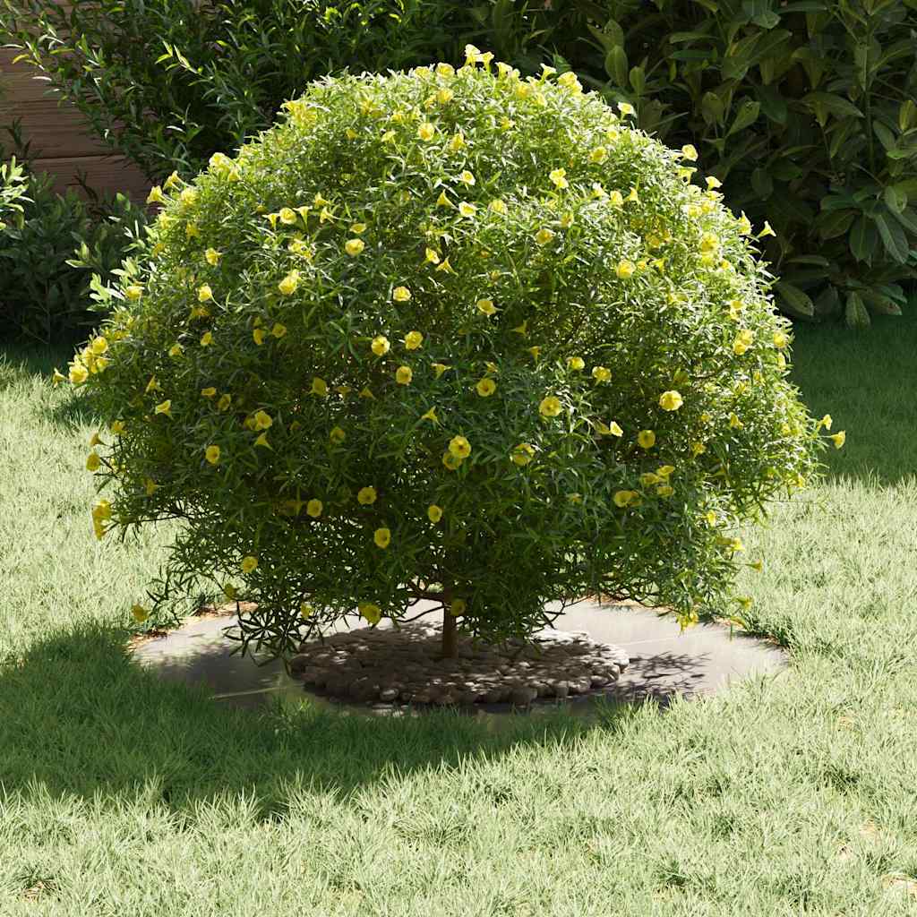 tinkamas plokščiam medžio žiedui Sidabro Ø30/60 cm tinkamas plokščiam medžio žiedui Sidabro Ø30/60 cm - Image 5