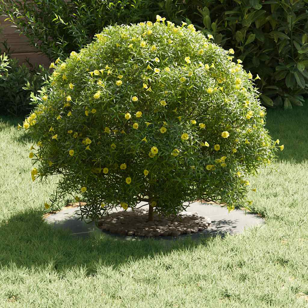 tinkamas plokščiam medžio žiedui Sidabro Ø30/60 cm tinkamas plokščiam medžio žiedui Sidabro Ø30/60 cm - Image 5