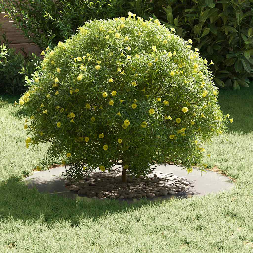 tinkamas plokščiam medžio žiedui Sidabro Ø40/70 cm tinkamas plokščiam medžio žiedui Sidabro Ø40/70 cm - Image 5