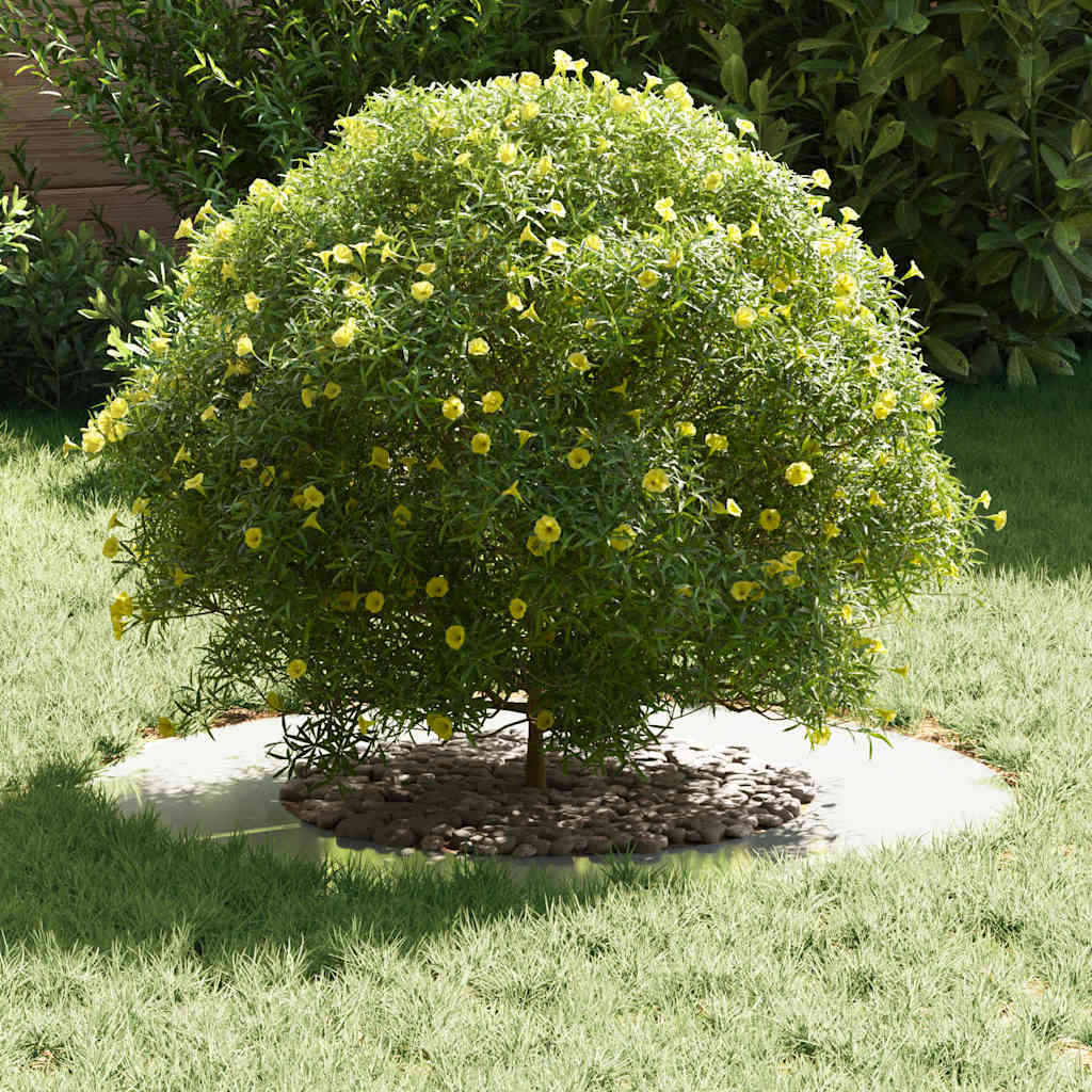 tinkamas plokštiems medžio žiedams 5 vnt. Sidabro Ø40/70 cm tinkamas plokštiems medžio žiedams 5 vnt. Sidabro Ø40/70 cm - Image 5