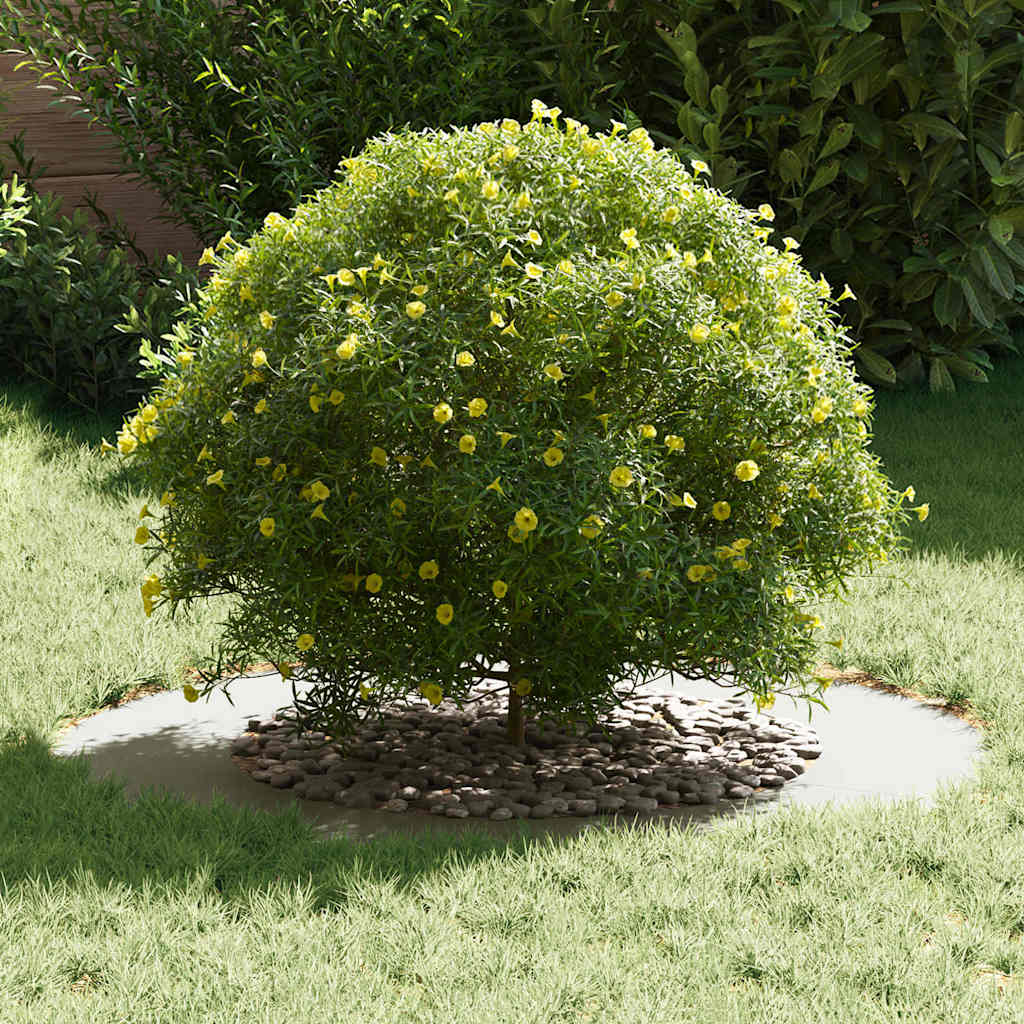 tinkamas plokštiems medžio žiedams 5 vnt. Balta Ø50/80 cm tinkamas plokštiems medžio žiedams 5 vnt. Balta Ø50/80 cm - Image 4