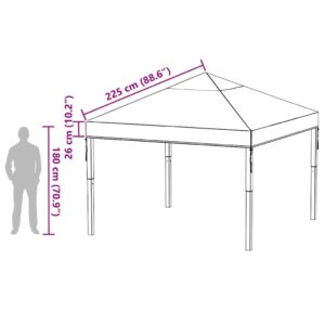 Paviliono dangos keitimas 300 x 300 x 26 cm Skaidrus PVC