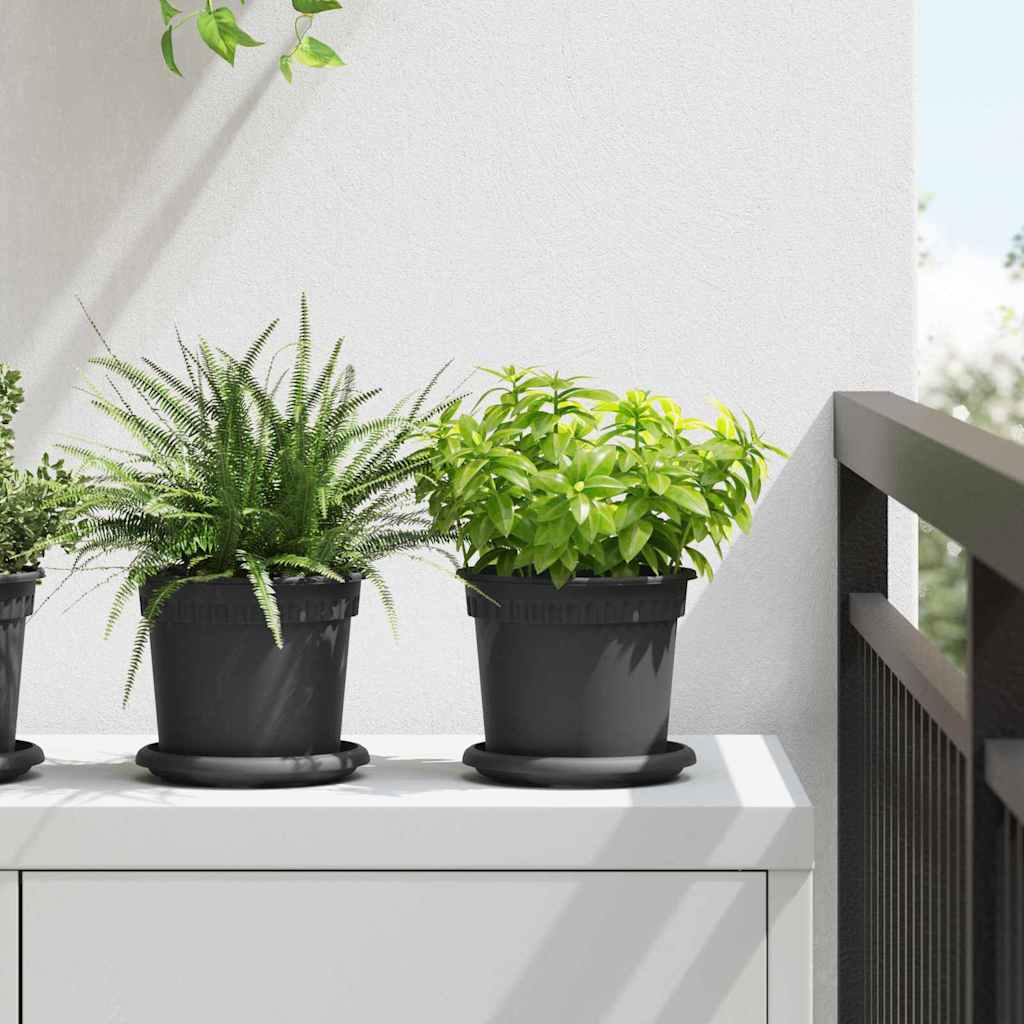 Apvalus gėlių padėklas 24 vnt. Juoda Ø 14 x 2 cm Plastmasė Apvalus gėlių padėklas 24 vnt. Juoda Ø 14 x 2 cm Plastmasė - Image 2