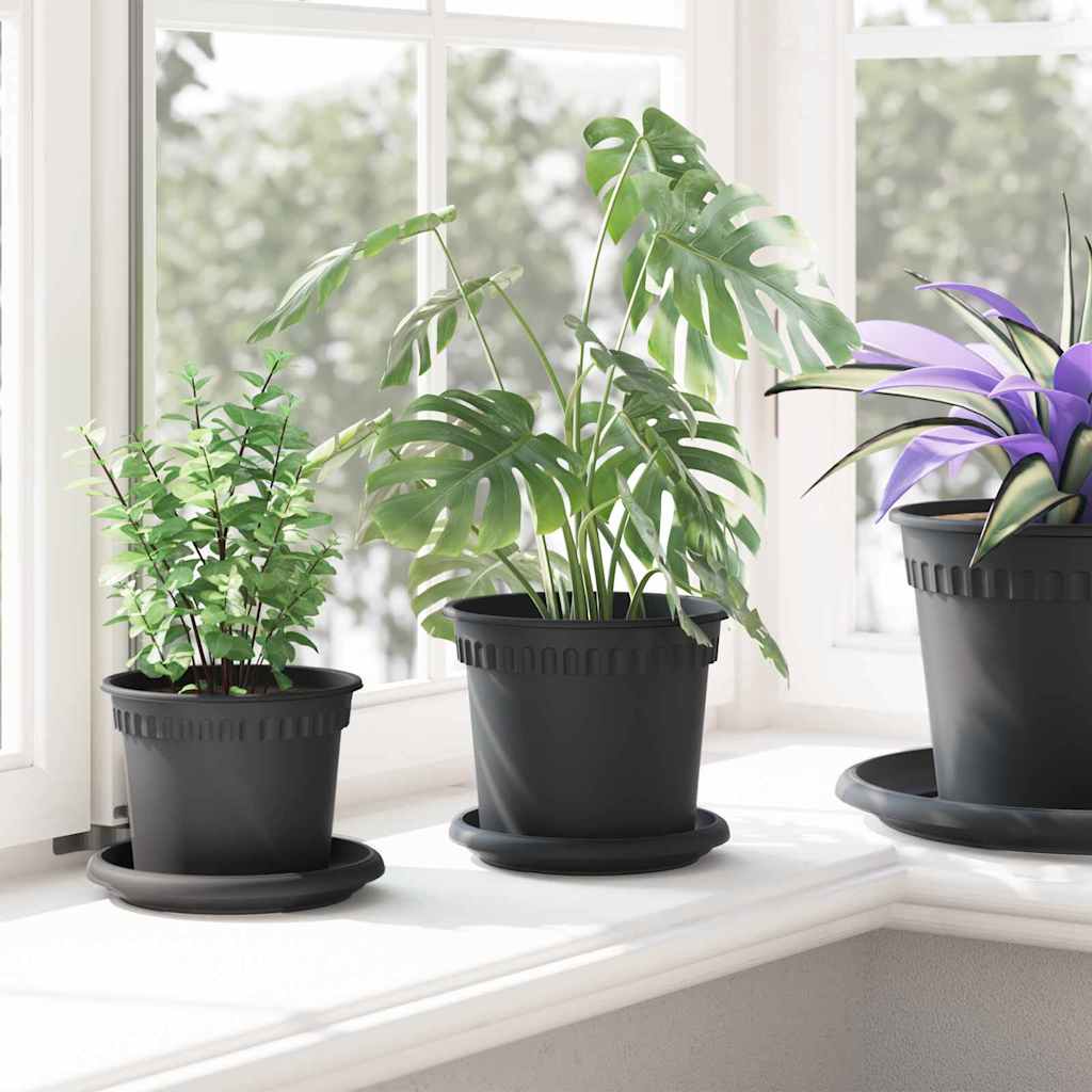 Apvalus gėlių padėklas 24 vnt. Juoda Ø 14 x 2 cm Plastmasė Apvalus gėlių padėklas 24 vnt. Juoda Ø 14 x 2 cm Plastmasė - Image 5
