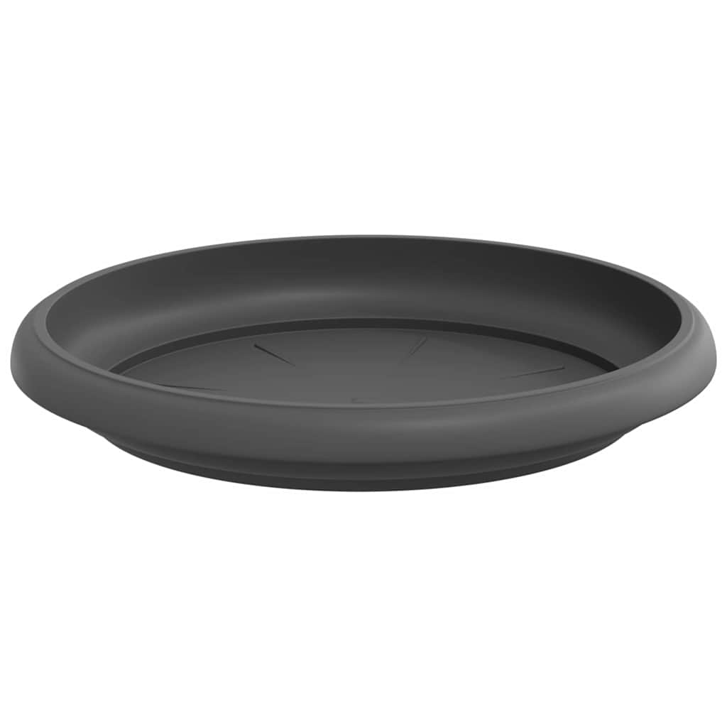 Apvalus gėlių padėklas 24 vnt. Juoda Ø 15,5 x 2 cm Plastmasė Apvalus gėlių padėklas 24 vnt. Juoda Ø 15,5 x 2 cm Plastmasė - Image 6
