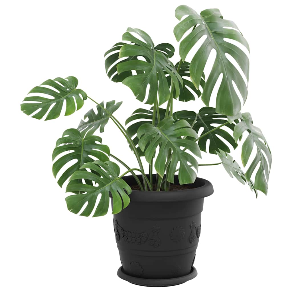 Apvalus gėlių padėklas 24 vnt. Juoda Ø 21,5 x 2,5 cm Plastmasė Apvalus gėlių padėklas 24 vnt. Juoda Ø 21,5 x 2,5 cm Plastmasė - Image 4