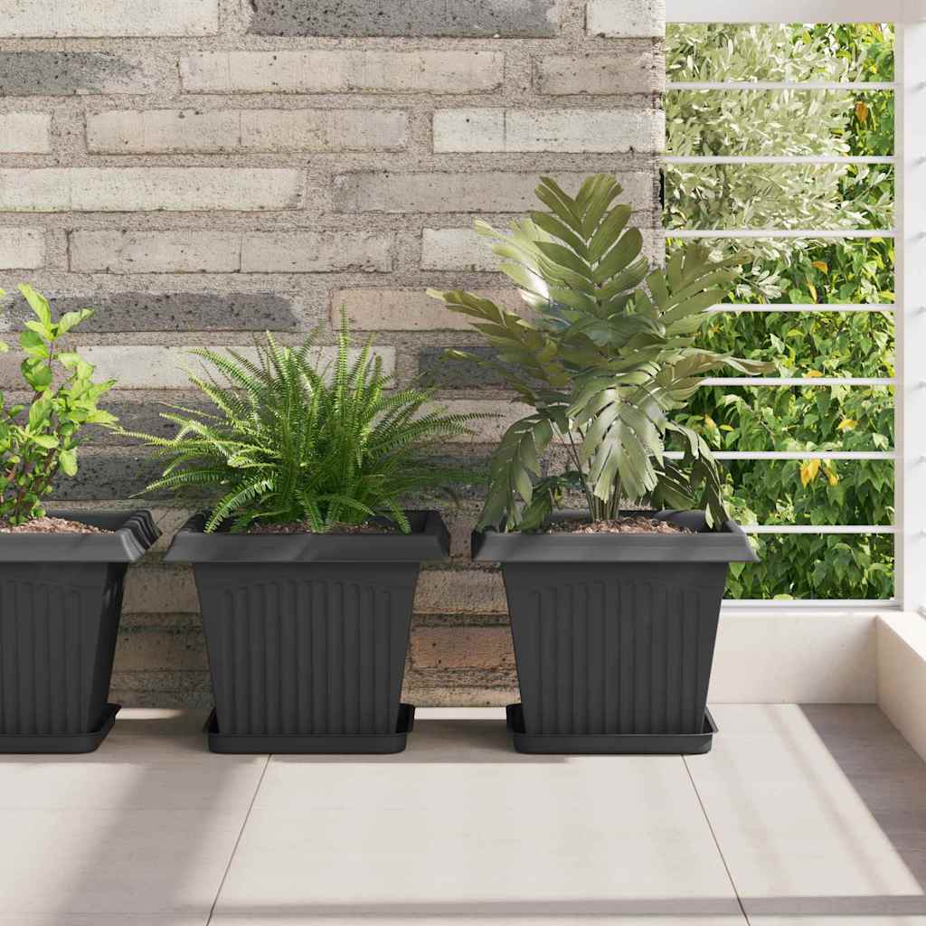 Kvadratinis gėlių padėklas 24 vnt. Juoda 21 x 21 x 2 cm Kvadratinis gėlių padėklas 24 vnt. Juoda 21 x 21 x 2 cm - Image 2
