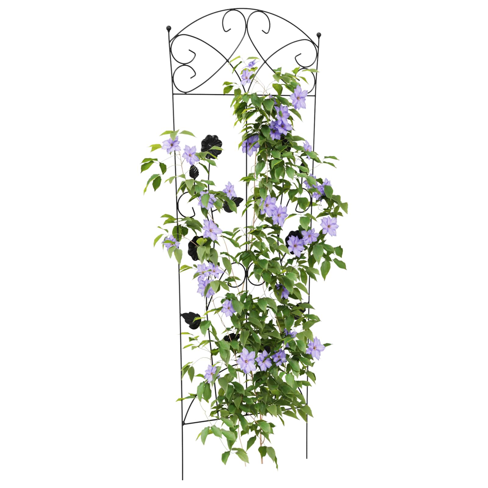 Sodo tvora 3 vnt. Juoda 110,5 x 42,5 cm Plienas Sodo tvora 3 vnt. Juoda 110,5 x 42,5 cm Plienas - Image 4