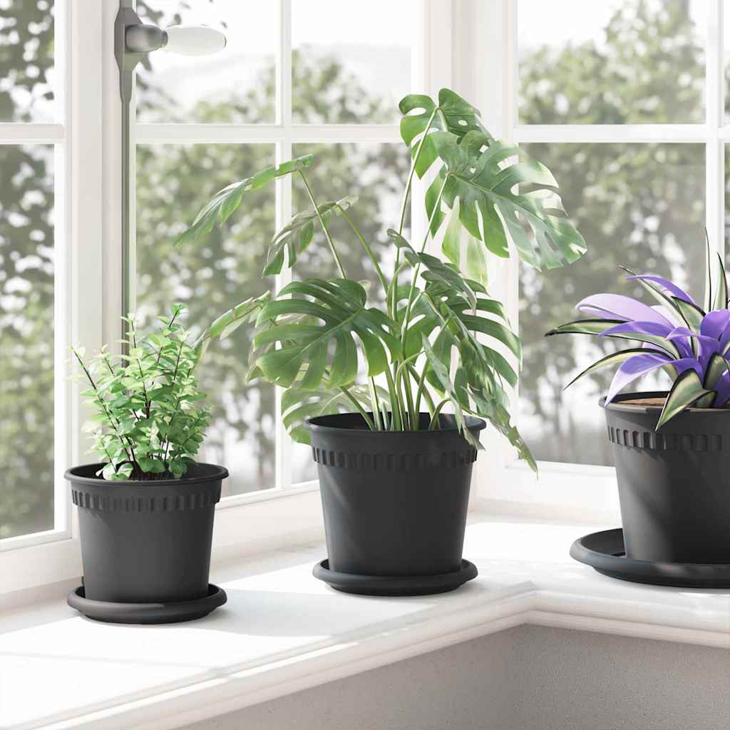 Augalų vazonai 6 vnt. Juoda Plastmasė Augalų vazonai 6 vnt. Juoda Plastmasė - Image 5