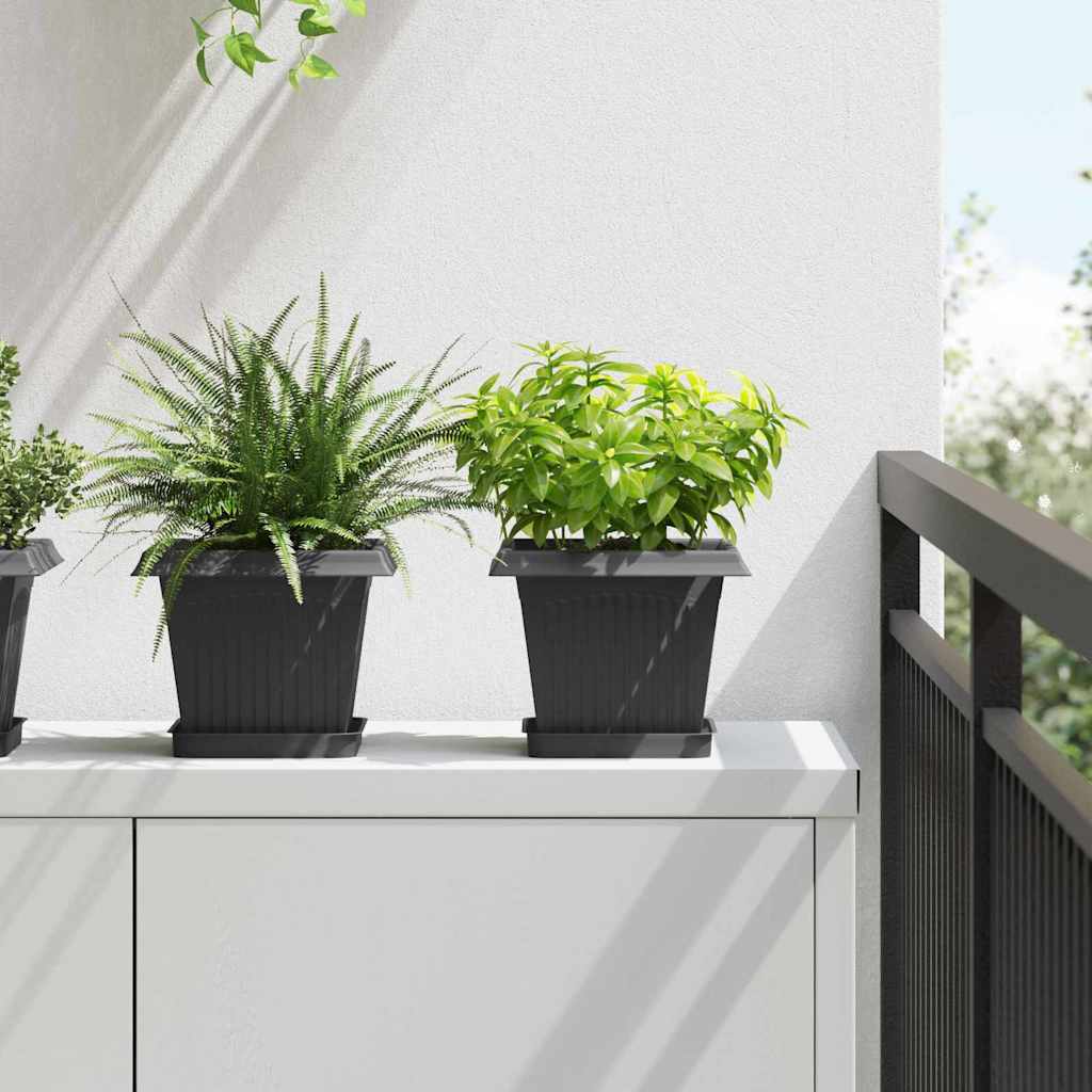 Augalų vazonai 6 vnt. Juoda Plastmasė Augalų vazonai 6 vnt. Juoda Plastmasė - Image 2