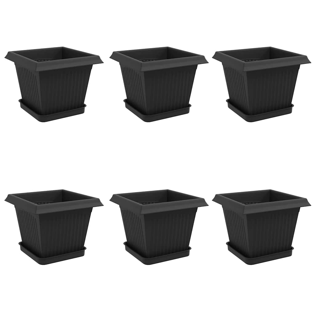 Augalų vazonai 6 vnt. Juoda Plastmasė Augalų vazonai 6 vnt. Juoda Plastmasė - Image 3