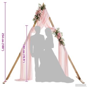 Vestuvinis Arklys Šviesiai rudas 202 x 95 x 254 cm