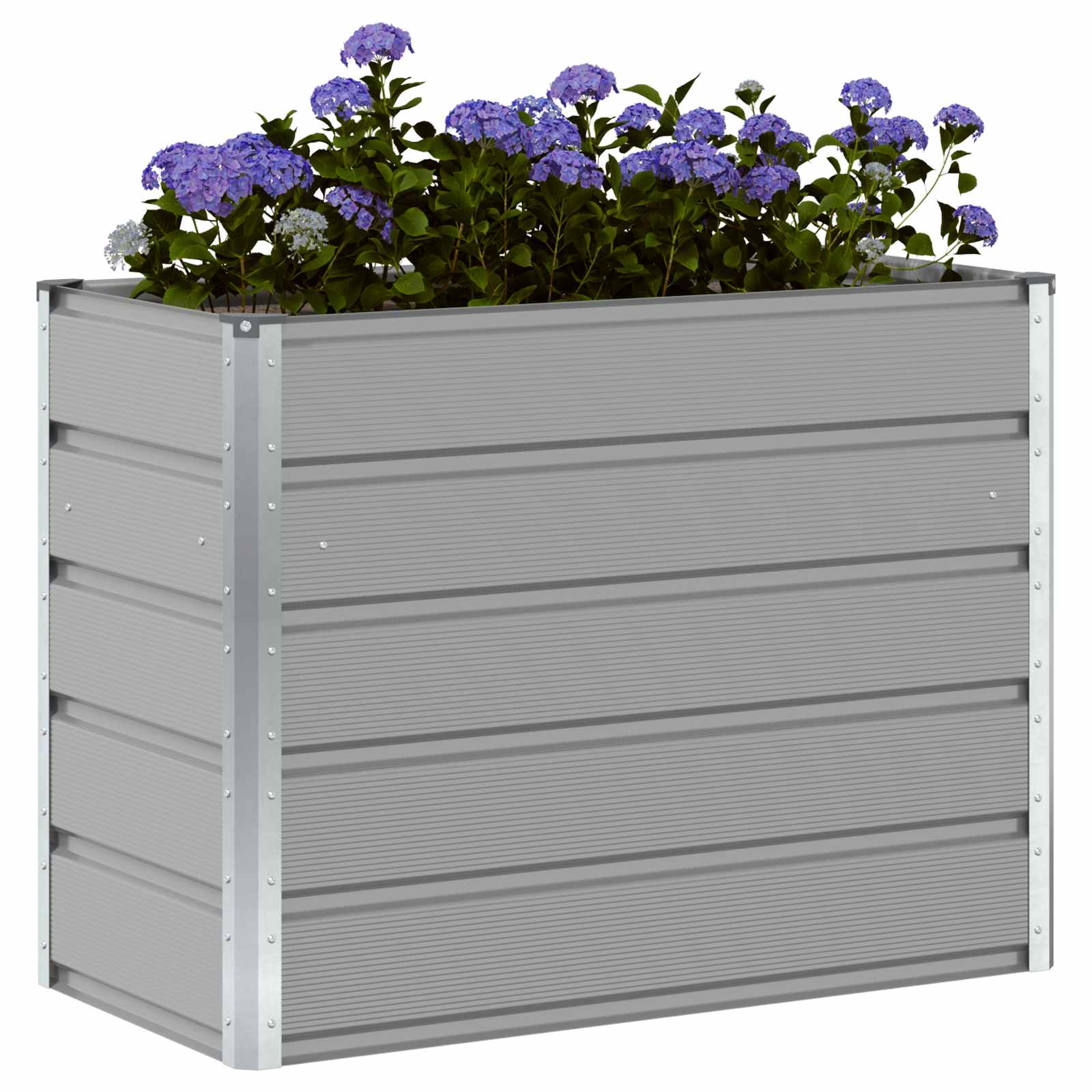 Lovelis Šviesiai pilka 100 x 50 x 77 cm Cinkuota plienas Lovelis Šviesiai pilka 100 x 50 x 77 cm Cinkuota plienas - Image 4