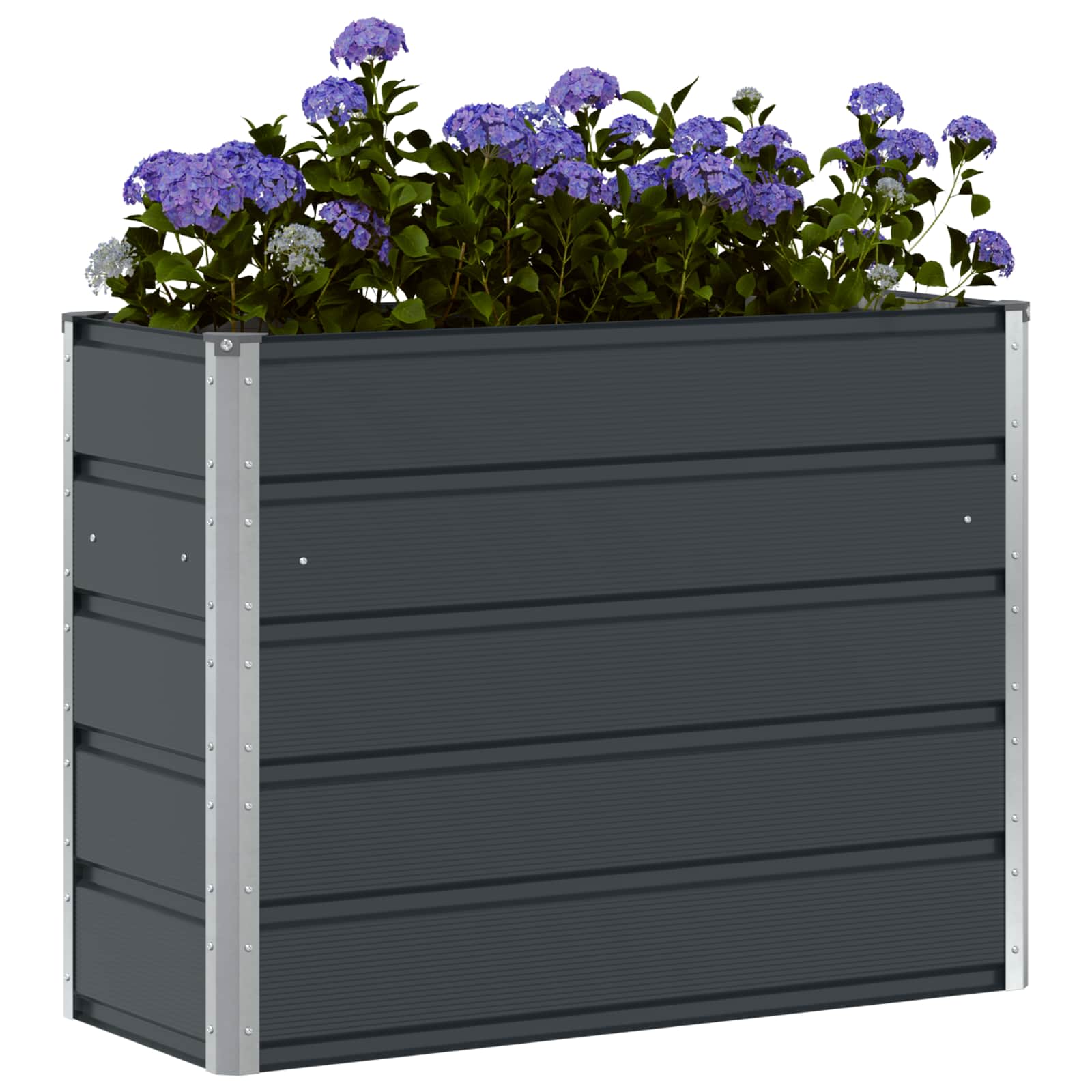 Lovelis Antracitas 100 x 40 x 75 cm Plienas Lovelis Antracitas 100 x 40 x 75 cm Plienas - Image 4