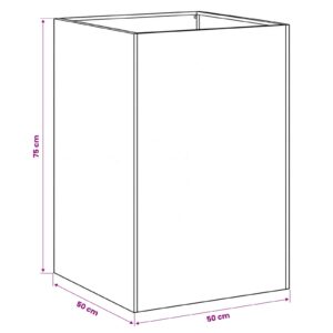 Sodo vazonas 2 vnt. Balta 50 x 50 x 75 cm
