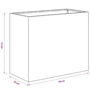 Sodo vazonas Sidabrinė 60 x 30 x 40 cm Galvanizuotas plienas