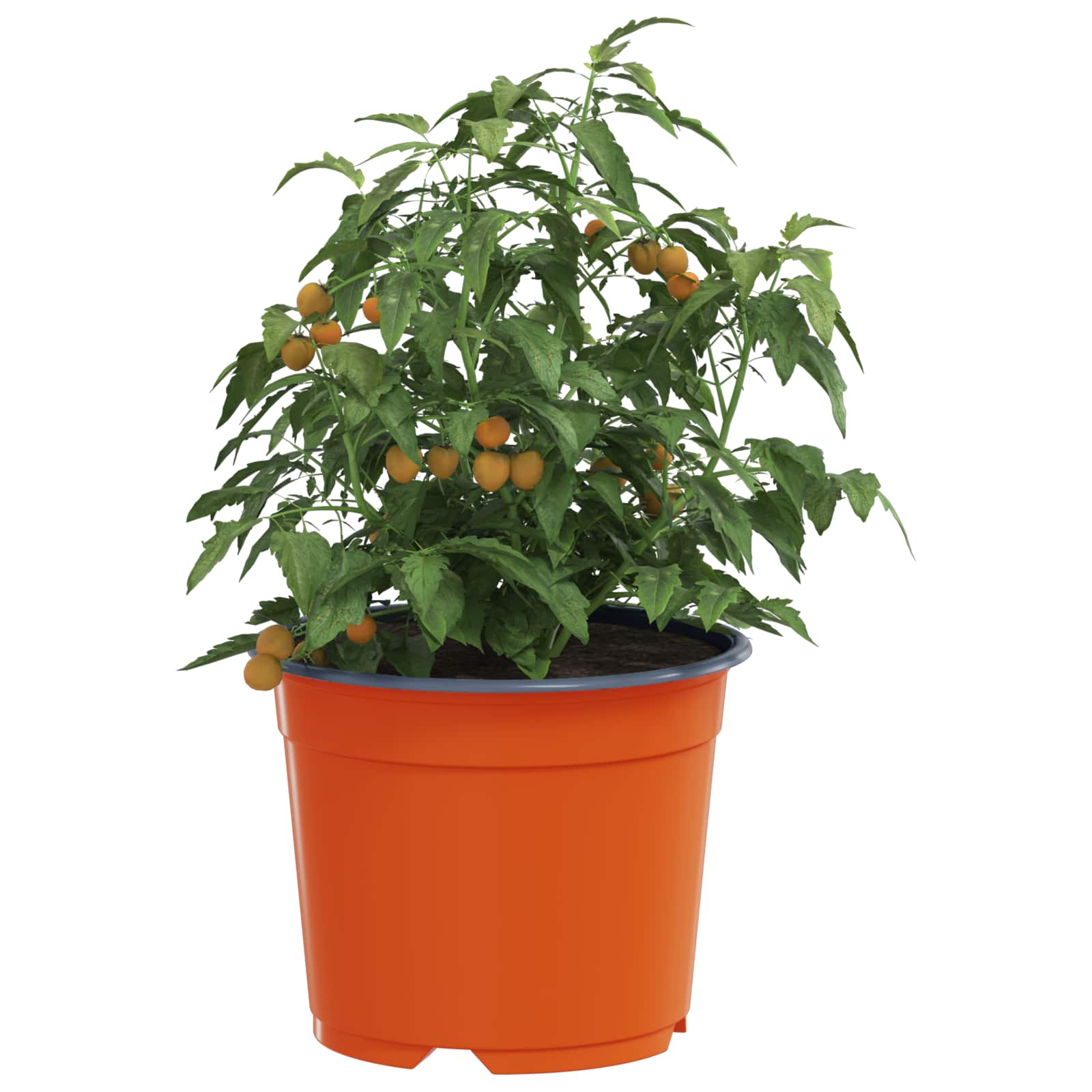 Apvalus gėlių vazonas 100 vnt. Terakotos Ø 10 x 8 cm Plastmasė Apvalus gėlių vazonas 100 vnt. Terakotos Ø 10 x 8 cm Plastmasė - Image 4