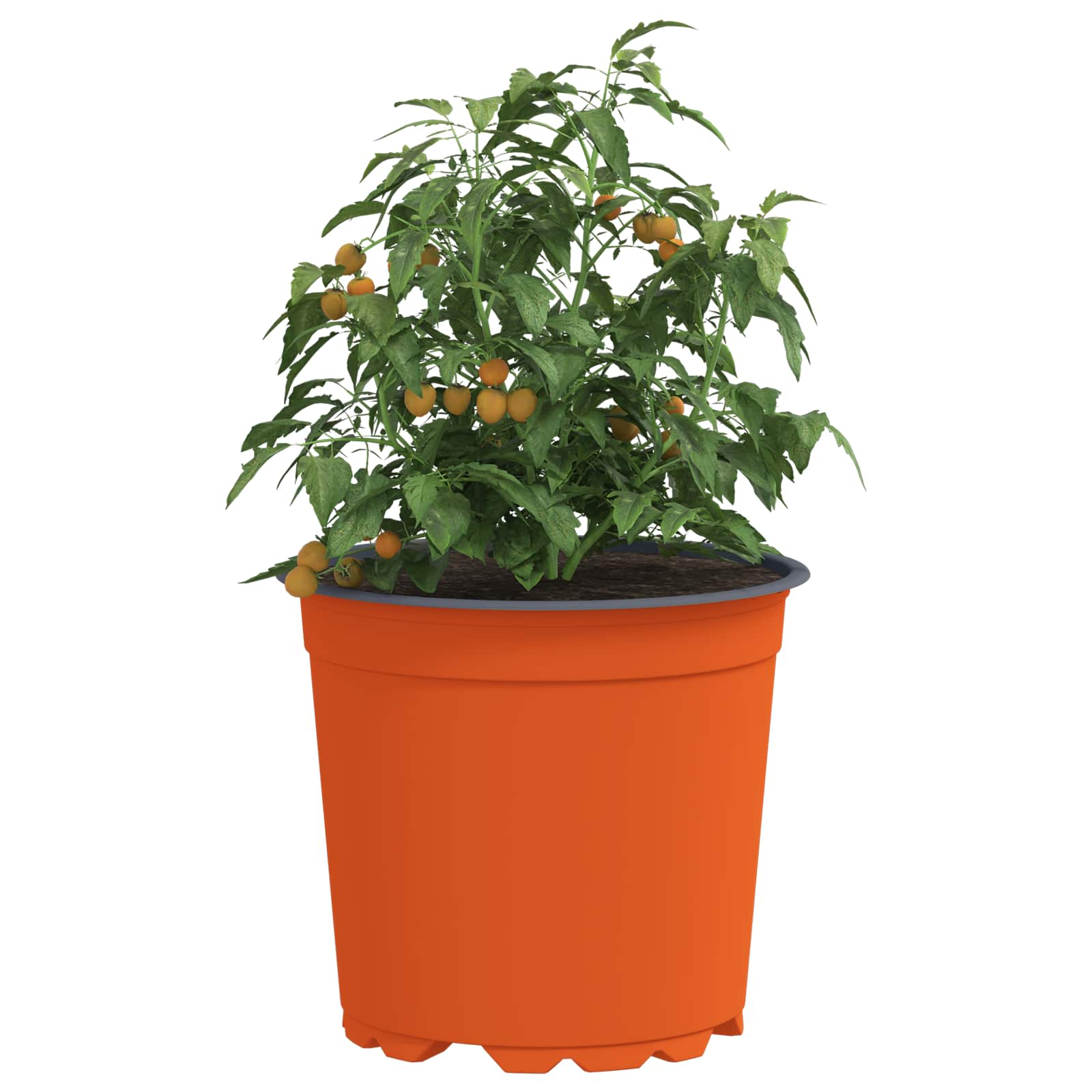 Apvalus gėlių vazonas 200 vnt. Terakotos Ø 15 x 13 cm Plastmasė Apvalus gėlių vazonas 200 vnt. Terakotos Ø 15 x 13 cm Plastmasė - Image 4