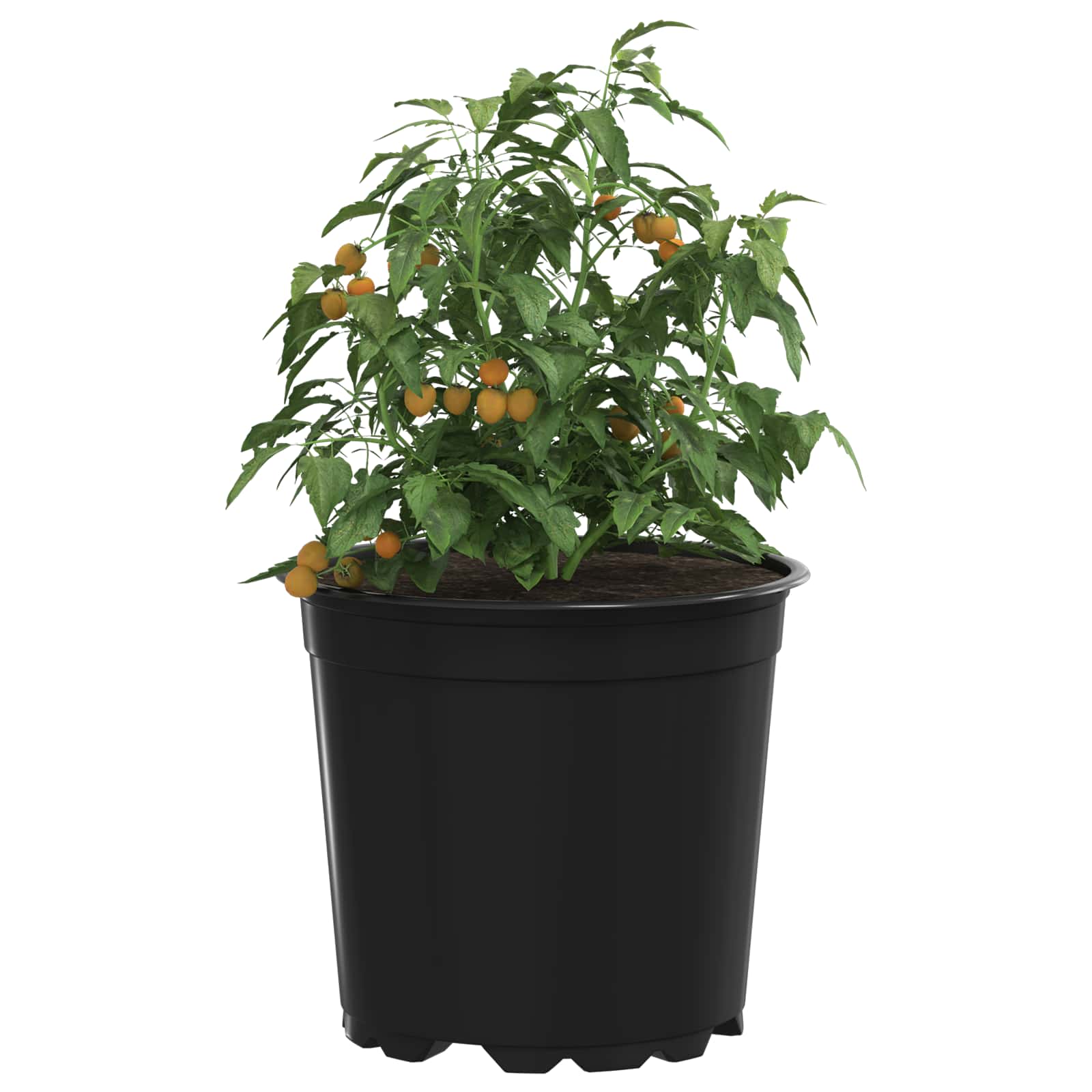 Apvalus gėlių vazonas 200 vnt. Juoda Ø 15 x 13 cm Plastmasė Apvalus gėlių vazonas 200 vnt. Juoda Ø 15 x 13 cm Plastmasė - Image 4