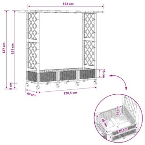 Pakeltas lovas su trelėmis ir stogu Juoda 164 x 40 x 127 cm PP