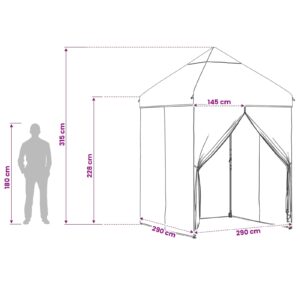 Pop-up Gazebo su 4 Šoninėmis Sienelėmis 2,9 x 2,9 m